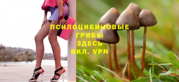 соль курить ск Костерёво