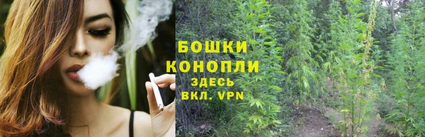 дмт Корсаков