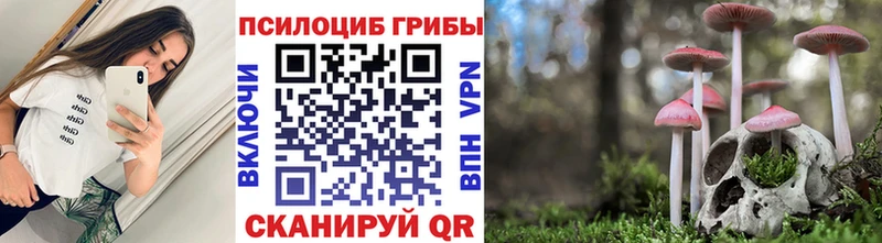 OMG зеркало  Козьмодемьянск  Галлюциногенные грибы мухоморы  где купить наркотик 