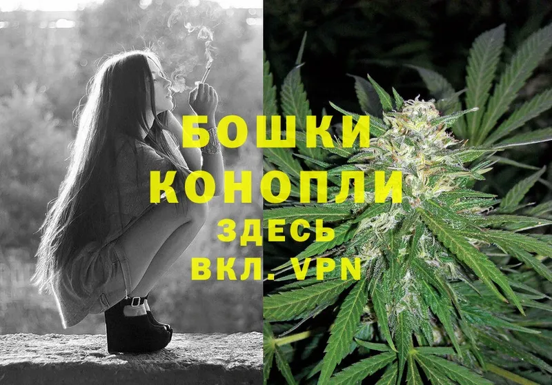 как найти   блэк спрут ТОР  Бошки Шишки LSD WEED  Козьмодемьянск 